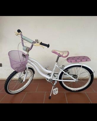 Bicicletta
