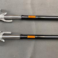 Forcelle Ducati multistrada 950, 950 v2