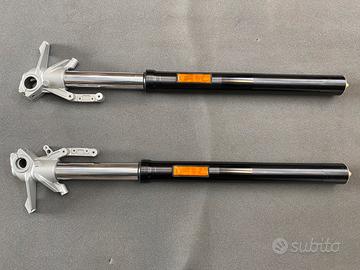 Forcelle Ducati multistrada 950, 950 v2