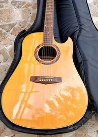 IBANEZ Acustica amplificata Legno Canadese