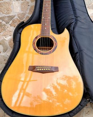 IBANEZ Acustica amplificata Legno Canadese