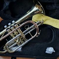 Strumento musicale=Cornetta sib