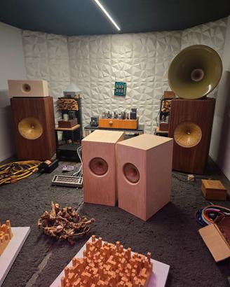  ATELIER RULLIT SA- 10" FIELD COIL in CASSA