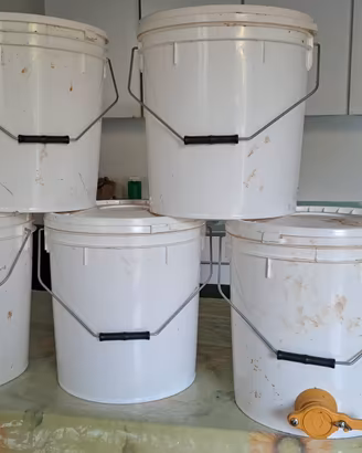 Secchi Miele Alimentari 20L con coperchio