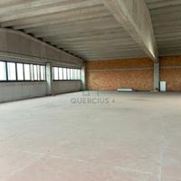 Capannone a San Bonifacio (VR)