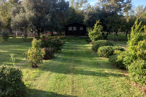 Terreno Agricolo Collesalvetti