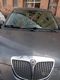 Ypsilon elefantino