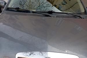 Ypsilon elefantino