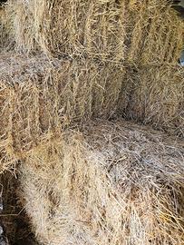 Fieno in balle piccole