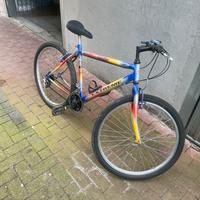 Mountainbike