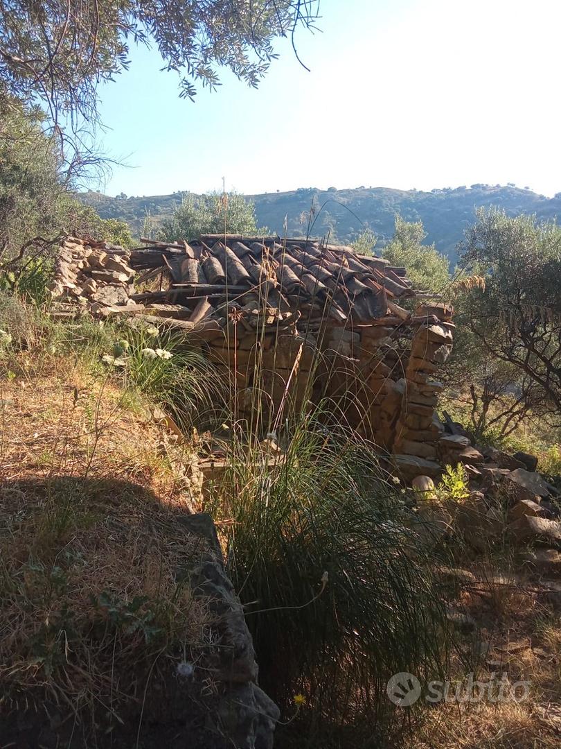 Terreno agricolo - Vista 4