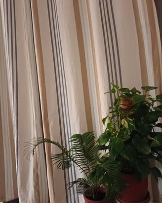 Tende Maisons du Monde