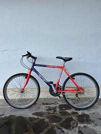 Bicicletta Mountain Bike MTB