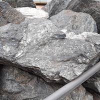 Pietre informi giardino roccioso