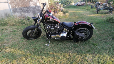 Harley Davidson softail fxsts