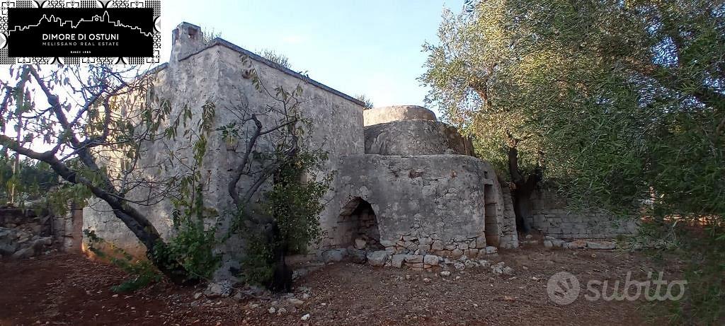 CASOLARE CON TRULLO SARACENO e LAMIA - OSTUNI - Vista 6
