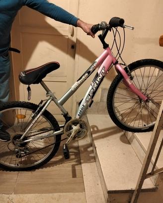 bicicletta 