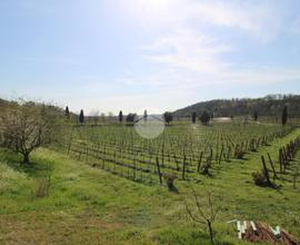 TER. AGRICOLO A CAZZAGO SAN MARTINO