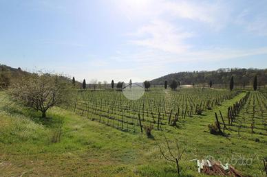 TER. AGRICOLO A CAZZAGO SAN MARTINO