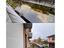 Immagine 19