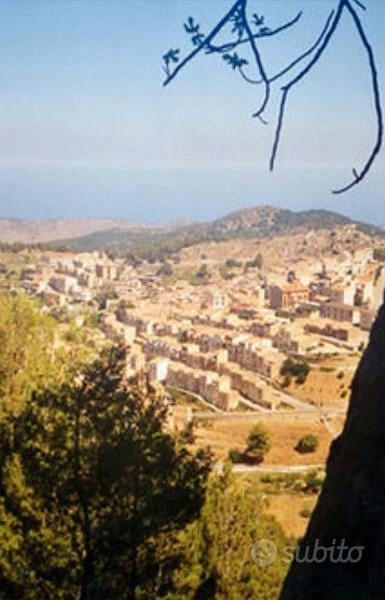 Bosco edificabile Gratteri Cefalù 17.000 mq - Vista 5