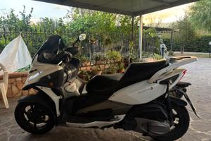 Scooter Pquadro3