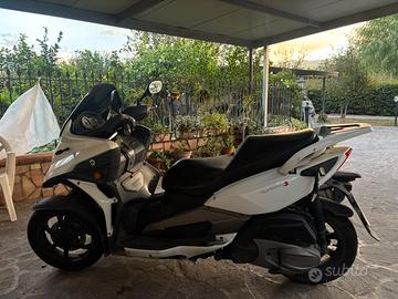 Scooter Pquadro3