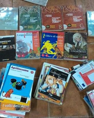 Libri scolastici Scuola Media/Liceo Scienze Umane