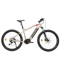 Mountain bike elettrica WAYSCRAL