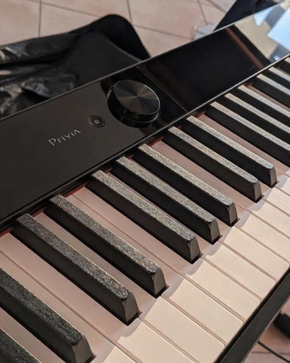 Casio Privia Px S-1000