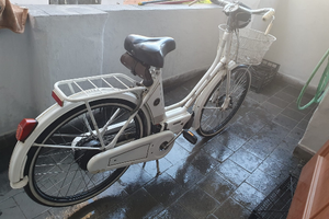 Mosquito bici a motore 50