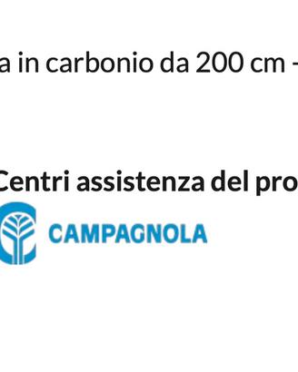 Abbacchiatore Campagnolo