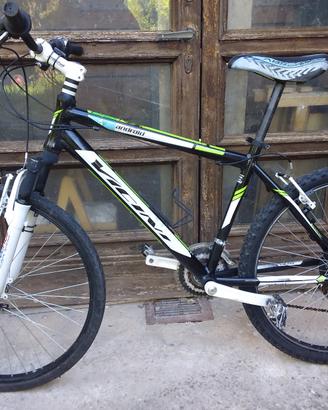 bici mountain bike Vicini