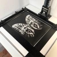 MARGINATORE FOTOGRAFICO 50x40