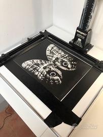 MARGINATORE FOTOGRAFICO 50x40