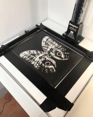 MARGINATORE FOTOGRAFICO 50x40