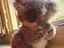 Immagine 1