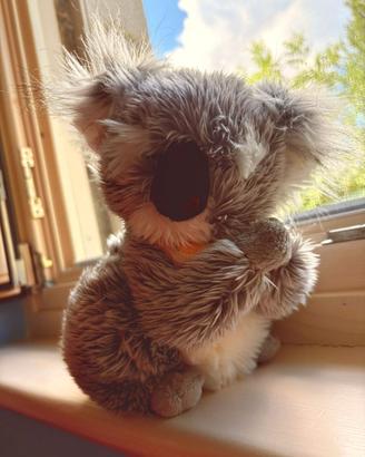Peluche Koala Plush & Company