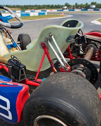 go kart rotax max