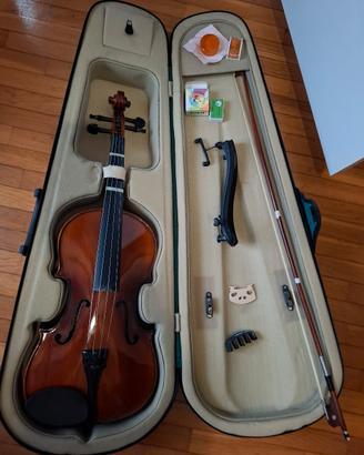 viola da musica adulto per studio