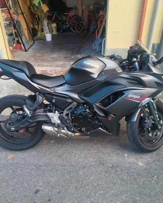 Kawasaki ninja 650 2022 