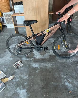 Bici decathlon titanio