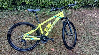  MTB ST100