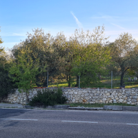 Terreno oliveto (Ittiri)