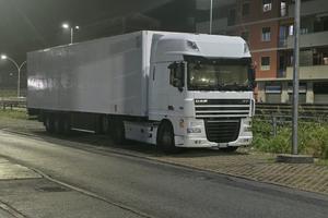 trattore + rimorchio