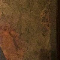 Carta del Piri Reis copia numerata