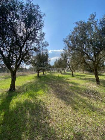 Terreno residenziale a Scorrano 1 locali