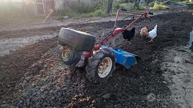 motocoltivatore pasquali 10 c. disel 