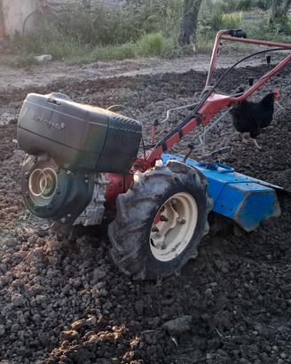 motocoltivatore pasquali 10 c. disel 