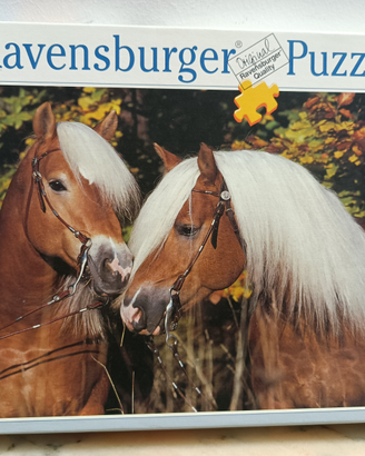 1 Puzzle 500pezzi"Ravensburger"